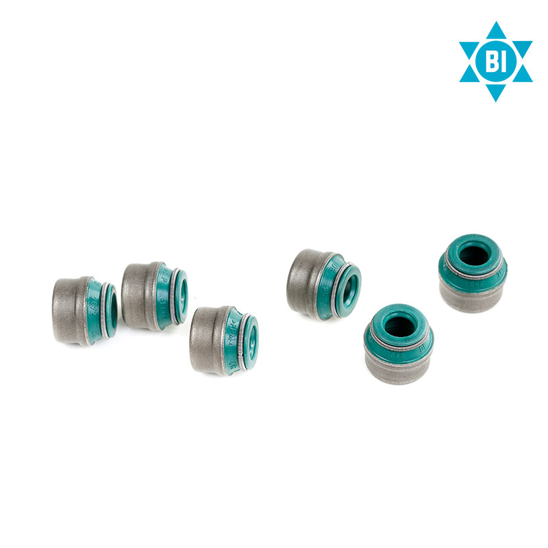 Valve Stem Seals